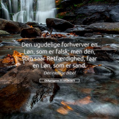 Picture 05 - Ordsprogene 11:18 DA1871 - Den ugudelige forhverver en Løn, som er falsk; - Bible Verse Picture
