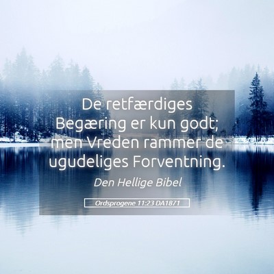 Picture 05 - Ordsprogene 11:23 DA1871 - De retfærdiges Begæring er kun godt; men Vreden - Bible Verse Picture