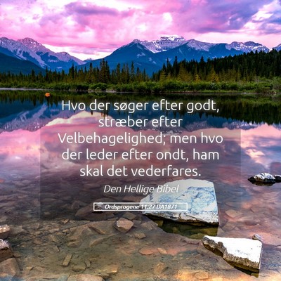 Picture 05 - Ordsprogene 11:27 DA1871 - Hvo der søger efter godt, stræber efter - Bible Verse Picture
