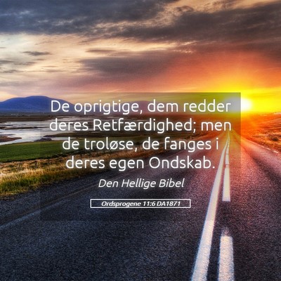 Picture 05 - Ordsprogene 11:6 DA1871 - De oprigtige, dem redder deres Retfærdighed; men - Bible Verse Picture