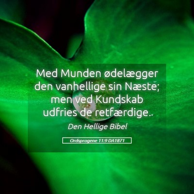 Picture 05 - Ordsprogene 11:9 DA1871 - Med Munden ødelægger den vanhellige sin Næste; - Bible Verse Picture
