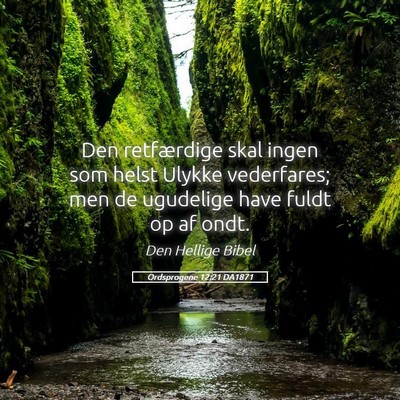 Picture 05 - Ordsprogene 12:21 DA1871 - Den retfærdige skal ingen som helst Ulykke - Bible Verse Picture