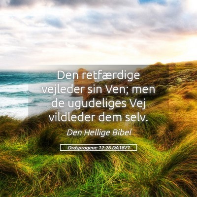 Picture 05 - Ordsprogene 12:26 DA1871 - Den retfærdige vejleder sin Ven; men de - Bible Verse Picture