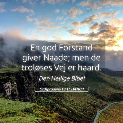 Picture 05 - Ordsprogene 13:15 DA1871 - En god Forstand giver Naade; men de troløses Vej - Bible Verse Picture