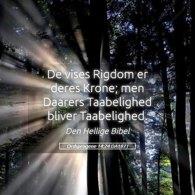 Picture 05 - Ordsprogene 14:24 DA1871 - De vises Rigdom er deres Krone; men Daarers - Bible Verse Picture