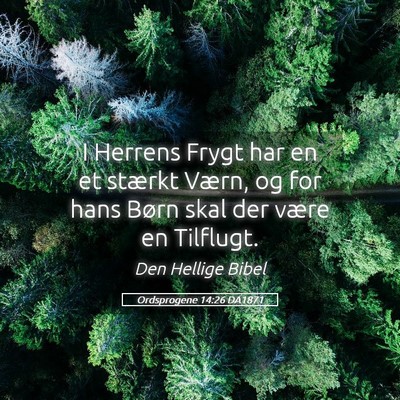 Picture 05 - Ordsprogene 14:26 DA1871 - I Herrens Frygt har en et stærkt Værn, og for - Bible Verse Picture