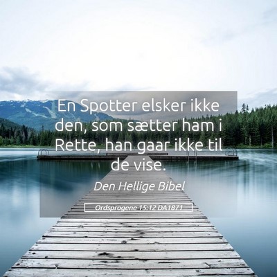 Picture 05 - Ordsprogene 15:12 DA1871 - En Spotter elsker ikke den, som sætter ham i - Bible Verse Picture