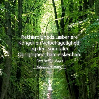 Picture 05 - Ordsprogene 16:13 DA1871 - Retfærdigheds Læber ere Konger en - Bible Verse Picture