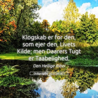 Picture 05 - Ordsprogene 16:22 DA1871 - Klogskab er for den, som ejer den, Livets Kilde; - Bible Verse Picture