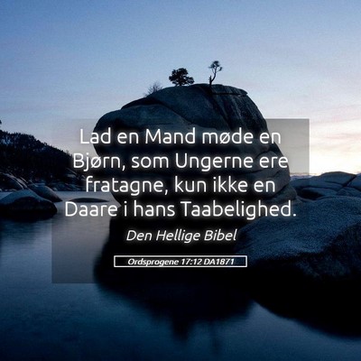 Picture 05 - Ordsprogene 17:12 DA1871 - Lad en Mand møde en Bjørn, som Ungerne ere - Bible Verse Picture