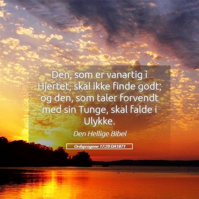 Picture 05 - Ordsprogene 17:20 DA1871 - Den, som er vanartig i Hjertet, skal ikke finde - Bible Verse Picture