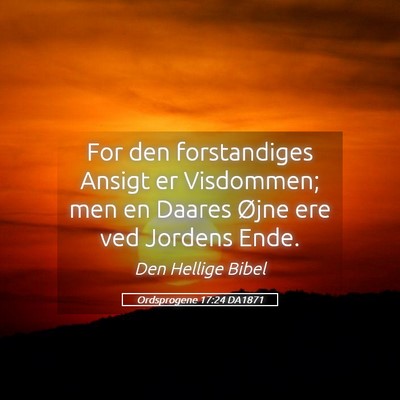 Picture 05 - Ordsprogene 17:24 DA1871 - For den forstandiges Ansigt er Visdommen; men en - Bible Verse Picture