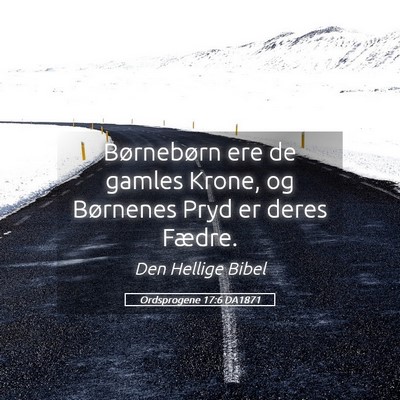Picture 05 - Ordsprogene 17:6 DA1871 - Børnebørn ere de gamles Krone, og Børnenes - Bible Verse Picture
