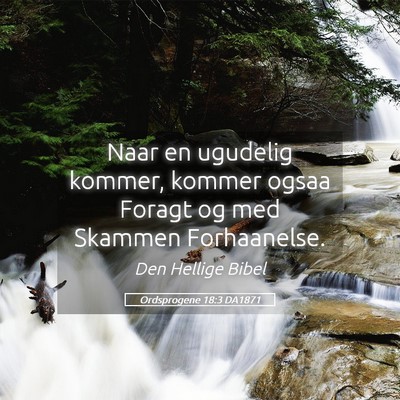 Picture 05 - Ordsprogene 18:3 DA1871 - Naar en ugudelig kommer, kommer ogsaa Foragt og - Bible Verse Picture