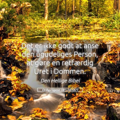 Picture 05 - Ordsprogene 18:5 DA1871 - Det er ikke godt at anse den ugudeliges Person, - Bible Verse Picture