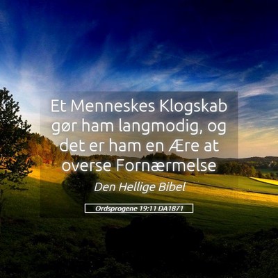 Picture 05 - Ordsprogene 19:11 DA1871 - Et Menneskes Klogskab gør ham langmodig, og det - Bible Verse Picture