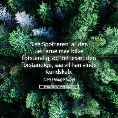 Picture 05 - Ordsprogene 19:25 DA1871 - Slaa Spotteren, at den uerfarne maa blive - Bible Verse Picture