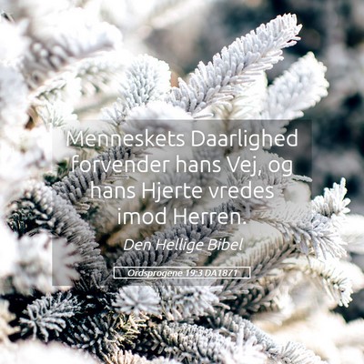 Picture 05 - Ordsprogene 19:3 DA1871 - Menneskets Daarlighed forvender hans Vej, og hans - Bible Verse Picture