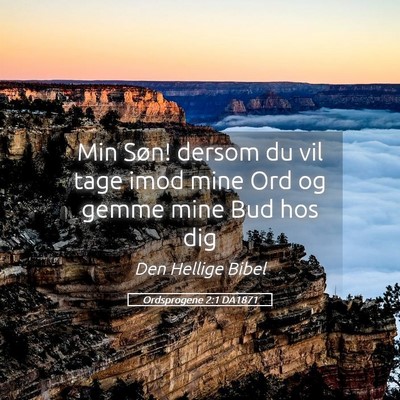 Picture 05 - Ordsprogene 2:1 DA1871 - Min Søn! dersom du vil tage imod mine Ord og - Bible Verse Picture