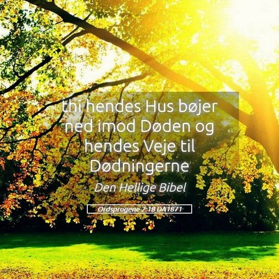 Picture 05 - Ordsprogene 2:18 DA1871 - thi hendes Hus bøjer ned imod Døden og hendes - Bible Verse Picture