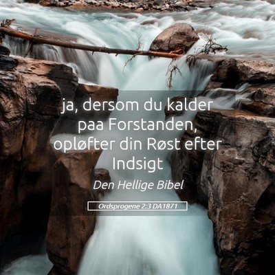 Picture 05 - Ordsprogene 2:3 DA1871 - ja, dersom du kalder paa Forstanden, opløfter - Bible Verse Picture