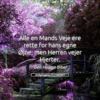 Picture 05 - Ordsprogene 21:2 DA1871 - Alle en Mands Veje ere rette for hans egne Øjne; - Bible Verse Picture