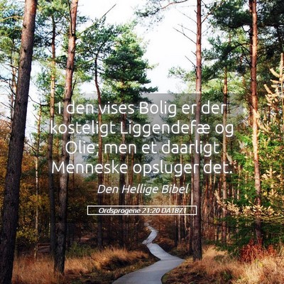 Picture 05 - Ordsprogene 21:20 DA1871 - I den vises Bolig er der kosteligt Liggendefæ og - Bible Verse Picture