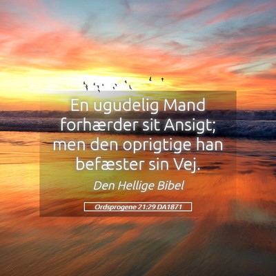 Picture 05 - Ordsprogene 21:29 DA1871 - En ugudelig Mand forhærder sit Ansigt; men den - Bible Verse Picture