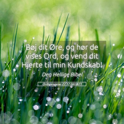 Picture 05 - Ordsprogene 22:17 DA1871 - Bøj dit Øre, og hør de vises Ord, og vend dit - Bible Verse Picture