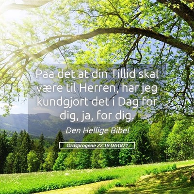 Picture 05 - Ordsprogene 22:19 DA1871 - Paa det at din Tillid skal være til Herren, har - Bible Verse Picture