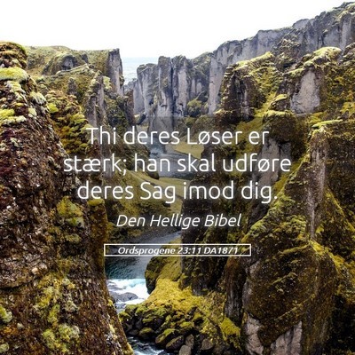 Picture 05 - Ordsprogene 23:11 DA1871 - Thi deres Løser er stærk; han skal udføre - Bible Verse Picture