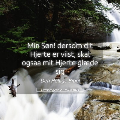 Picture 05 - Ordsprogene 23:15 DA1871 - Min Søn! dersom dit Hjerte er viist, skal ogsaa - Bible Verse Picture