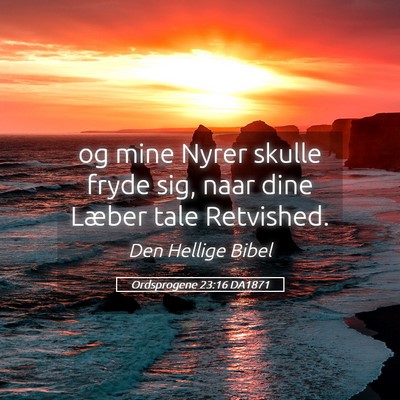 Picture 05 - Ordsprogene 23:16 DA1871 - og mine Nyrer skulle fryde sig, naar dine Læber - Bible Verse Picture