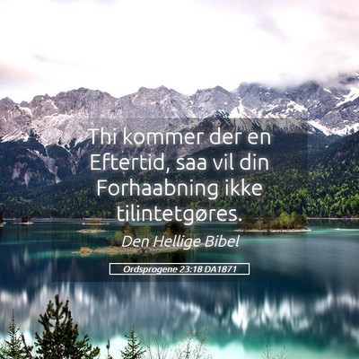 Picture 05 - Ordsprogene 23:18 DA1871 - Thi kommer der en Eftertid, saa vil din - Bible Verse Picture