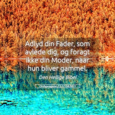 Picture 05 - Ordsprogene 23:22 DA1871 - Adlyd din Fader, som avlede dig, og foragt ikke - Bible Verse Picture