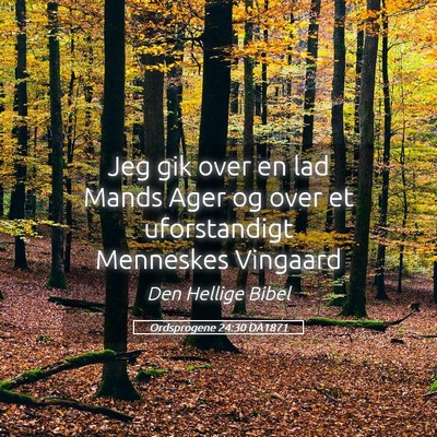 Picture 05 - Ordsprogene 24:30 DA1871 - Jeg gik over en lad Mands Ager og over et - Bible Verse Picture