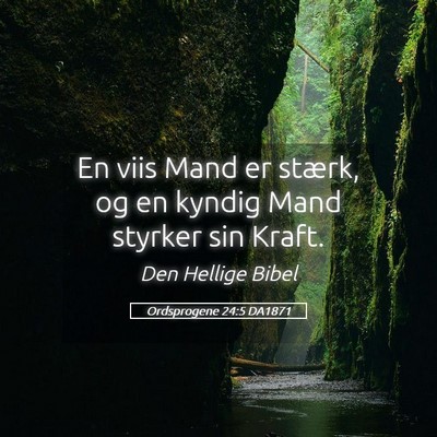 Picture 05 - Ordsprogene 24:5 DA1871 - En viis Mand er stærk, og en kyndig Mand styrker - Bible Verse Picture