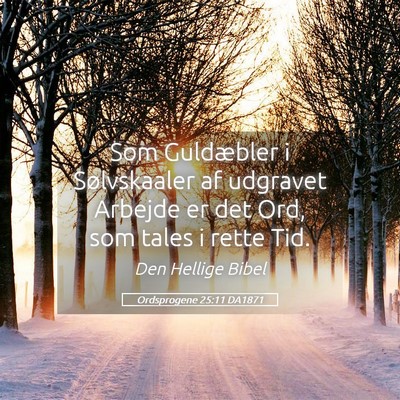 Picture 05 - Ordsprogene 25:11 DA1871 - Som Guldæbler i Sølvskaaler af udgravet Arbejde - Bible Verse Picture