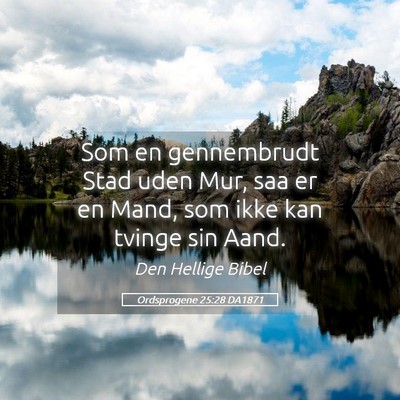 Picture 05 - Ordsprogene 25:28 DA1871 - Som en gennembrudt Stad uden Mur, saa er en Mand, - Bible Verse Picture