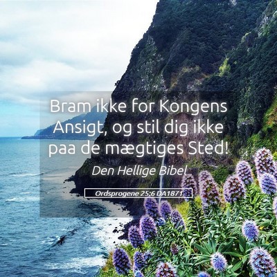Picture 05 - Ordsprogene 25:6 DA1871 - Bram ikke for Kongens Ansigt, og stil dig ikke - Bible Verse Picture