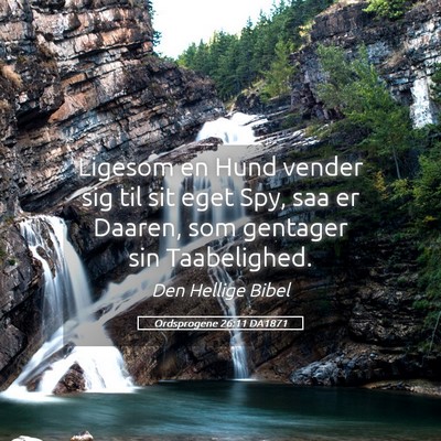 Picture 05 - Ordsprogene 26:11 DA1871 - Ligesom en Hund vender sig til sit eget Spy, saa - Bible Verse Picture
