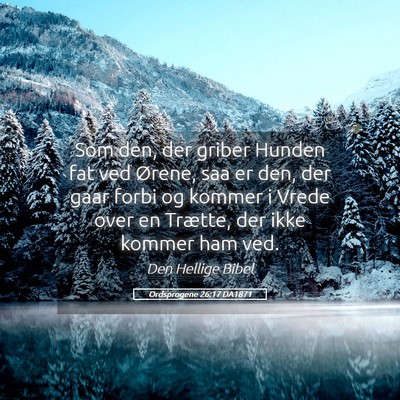 Picture 05 - Ordsprogene 26:17 DA1871 - Som den, der griber Hunden fat ved Ørene, saa er - Bible Verse Picture