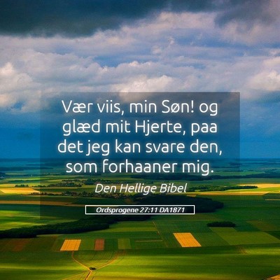 Picture 05 - Ordsprogene 27:11 DA1871 - Vær viis, min Søn! og glæd mit Hjerte, paa det - Bible Verse Picture