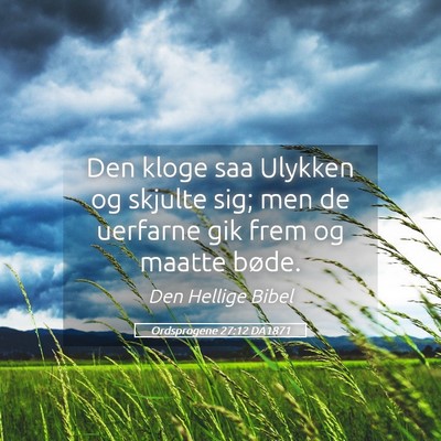 Picture 05 - Ordsprogene 27:12 DA1871 - Den kloge saa Ulykken og skjulte sig; men de - Bible Verse Picture
