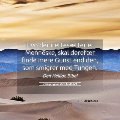Picture 05 - Ordsprogene 28:23 DA1871 - Hvo der irettesætter et Menneske, skal derefter - Bible Verse Picture