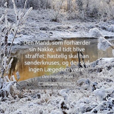 Picture 05 - Ordsprogene 29:1 DA1871 - Den Mand, som forhærder sin Nakke, vil tidt - Bible Verse Picture