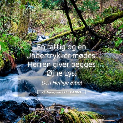 Picture 05 - Ordsprogene 29:13 DA1871 - En fattig og en Undertrykker mødes; Herren giver - Bible Verse Picture