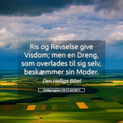 Picture 05 - Ordsprogene 29:15 DA1871 - Ris og Revselse give Visdom; men en Dreng, som - Bible Verse Picture
