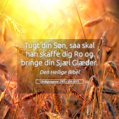 Picture 05 - Ordsprogene 29:17 DA1871 - Tugt din Søn, saa skal han skaffe dig Ro og - Bible Verse Picture