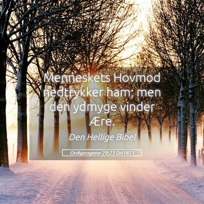 Picture 05 - Ordsprogene 29:23 DA1871 - Menneskets Hovmod nedtrykker ham; men den ydmyge - Bible Verse Picture